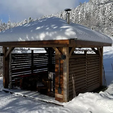 ※ Pomme De Pin - Terrasse - Nature ※ Apartment Xonrupt-Longemer