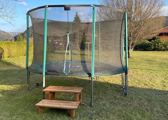 ※ Pomme De Pin - Terrasse - Nature ※ * Xonrupt-Longemer