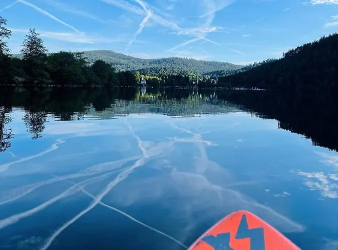 ※ Pomme De Pin - Terrasse - Nature ※