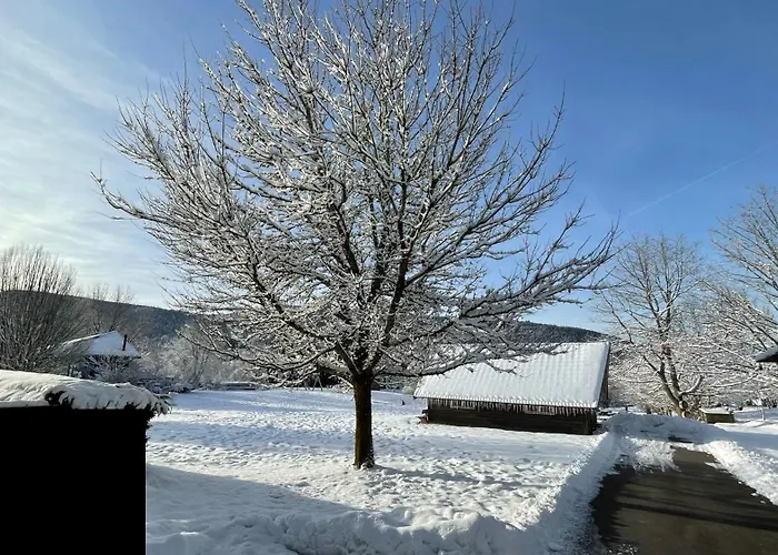 Apartmán ※ Pomme De Pin - Terrasse - Nature ※ Xonrupt-Longemer